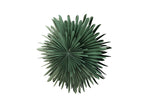 Osaga Hanglamp ø80cm - Groen - Hanglampen - Rebellenclub