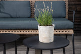 Clove Loungeset - Naturel Rattan - Loungesets - Rebellenclub