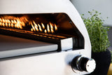 Forio Pizzaoven - Zilver - Pizza ovens - Rebellenclub