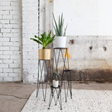 Planten Standaard Zwart - complete set van 4 stuks - S/M/L/XL - Woonaccessoires - Rebellenclub