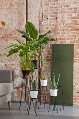 Planten Standaard Zwart - complete set van 4 stuks - S/M/L/XL - Woonaccessoires - Rebellenclub