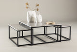 Rindby Salontafel Set - Grijs