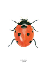 Rebellenclub x LISA poster - Ladybug - Prenten & Posters - Rebellenclub